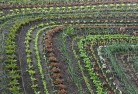 Landsborough Westorganic-gardening-10.jpg; ?>